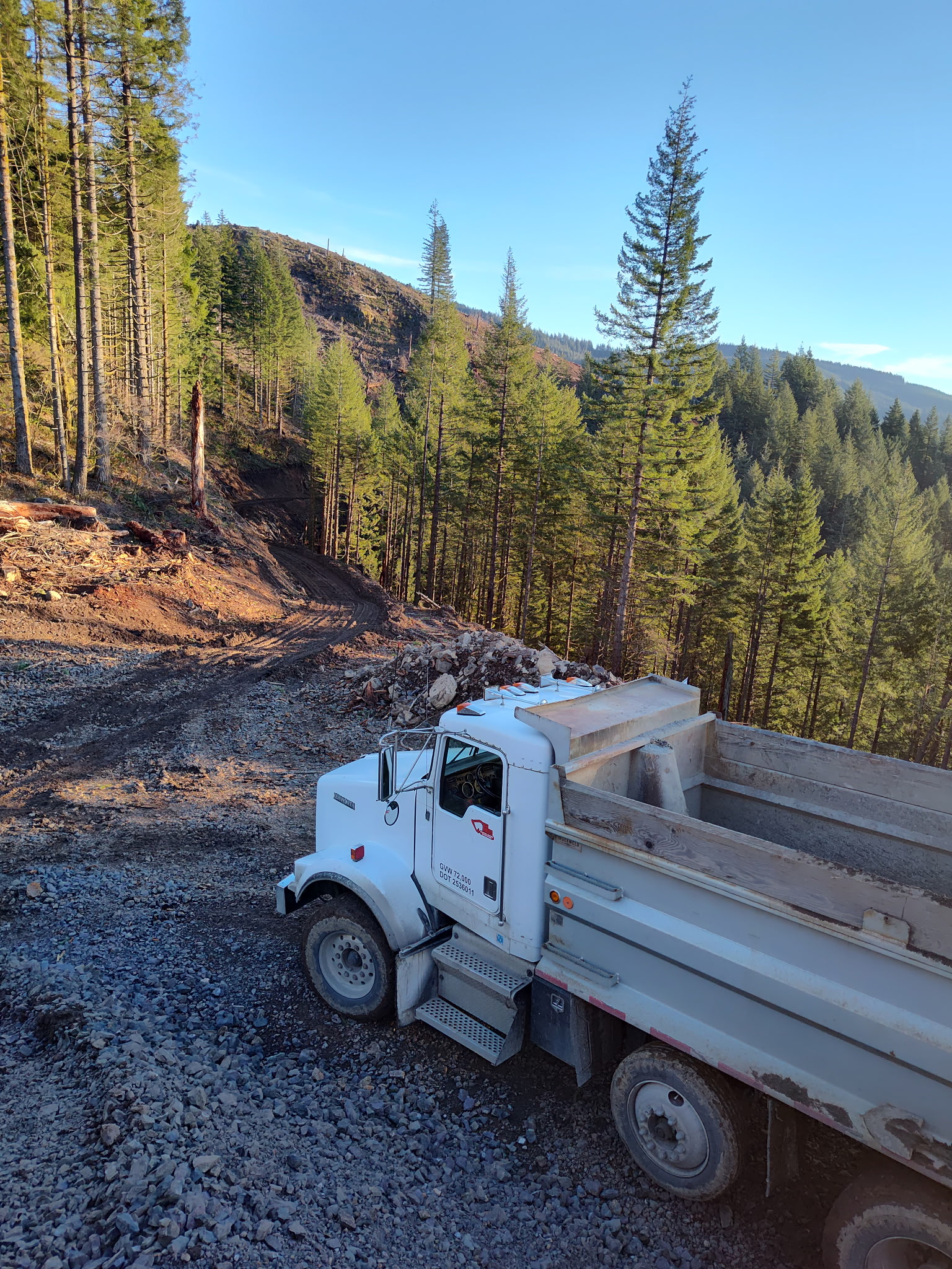 Land Clearing Project